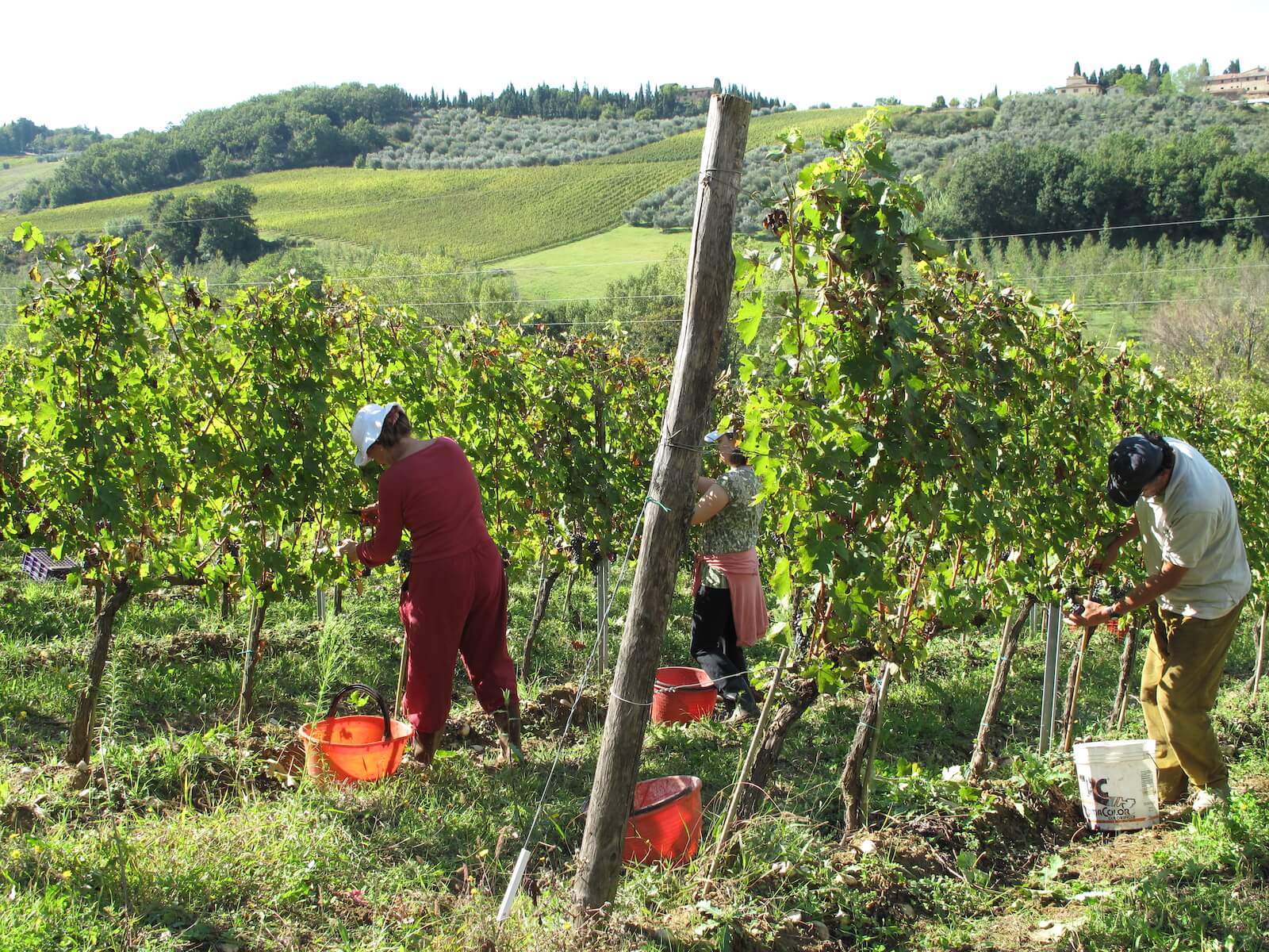 L’azienda agricola